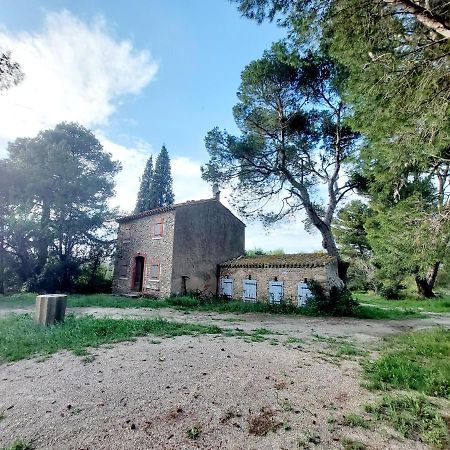 Mazet Du Chateau Joyeux De Violet Pépieux Exterior foto